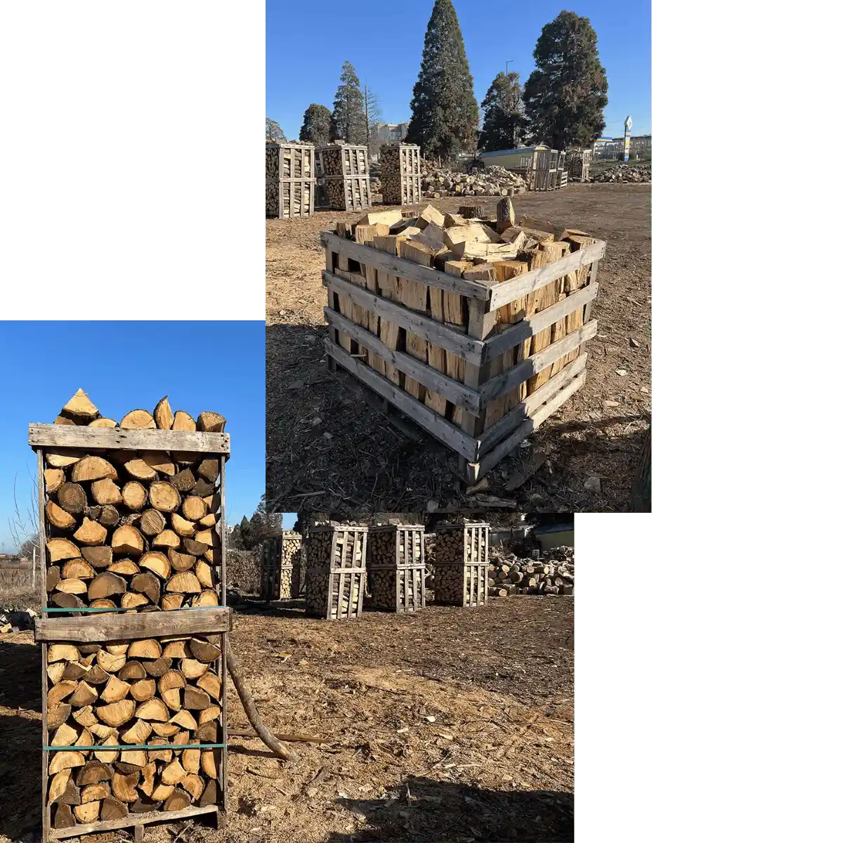 нарязани и нацепени дъбови дърва в пале в Пазарджик